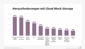 Abbildung 2: Die größten Herausforderungen des Cloud-Block-Storage sind mit Kosten und Performance verbunden.