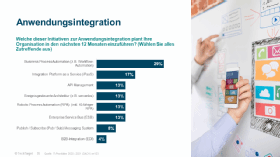 IT-Prioritäten 2020 Anwendungsintegration