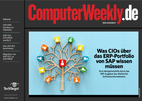 E-Handbook SAP ERP