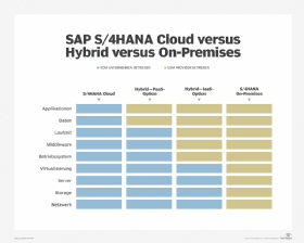 SAP-S/4HANA-Optionen