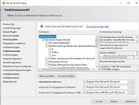 Abbildung 3: Funktionen, die sich auf einem neuen Server mit SQL Server 2019 installieren lassen.