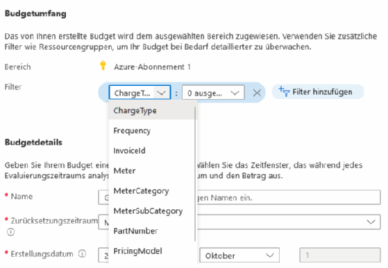 Abbildung 2: Über Filter grenzen Sie den Geltungsbereich des Budgets ein.