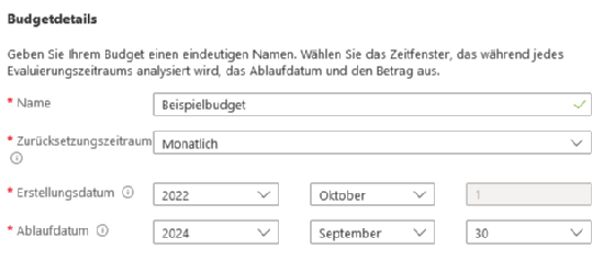 Abbildung 3: Füllen Sie die Budgetdetails aus.
