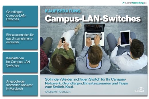 Gratis-eBook mit über 20 Seiten mit Tipps und Grundlagen zum Switch-Kauf und Anbietervergleich.