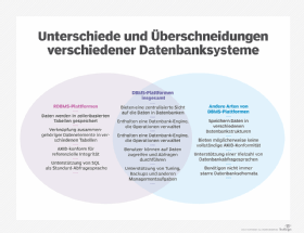 Abbildung 1: Dies sind einige unterschiedliche und gemeinsame Eigenschaften von RDBMS-Plattformen und anderen DBMS-Technologien.