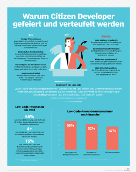 Warum Citizen Developer gefeiert und verteufelt werden