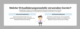 Abbildung 1: Carrier setzen auf zwei Virtualisierungsmodelle: Netzwerkvirtualisierung und Funktionsvirtualisierung.