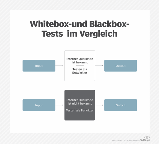 Тестирование белого ящика. Black Box White Box диаграммы. Блэк бокс теория систем. White Box Testing in static.