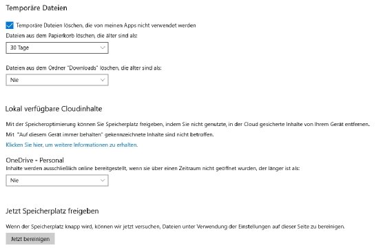 Abbildung 2: Erweiterte Optionen zur Bereinigung von Windows 10.