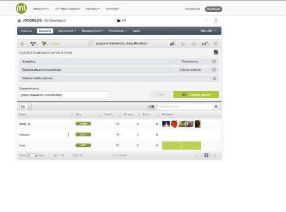 Abbildung 5: Verwalten der Datasets in einem BigML-Projekt.