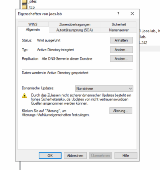 Abbildung 3: Überprüfen der automatischen DNS-Registrierung in Windows.