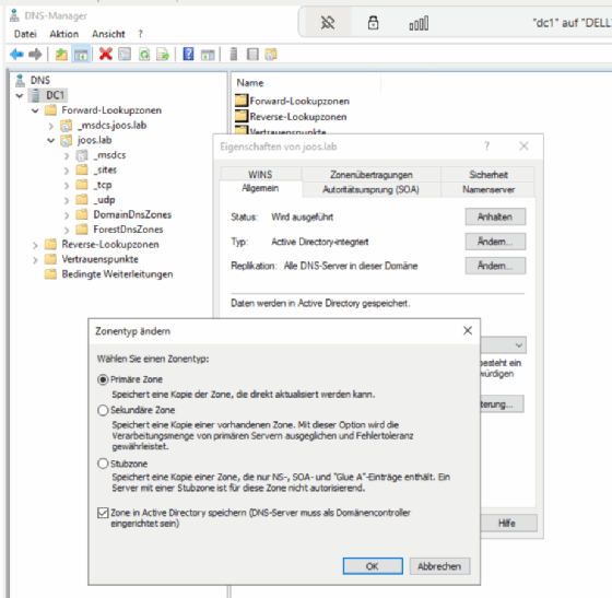 Abbildung 4: Active Directory-integrierte DNS-Zonen auf Windows DNS-Servern.