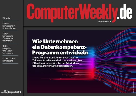 eBook: Wie Unternehmen ein Datenkompetenz-Programm entwickeln