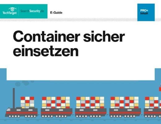 Kostenloser E-Guide: Container sicher einsetzen