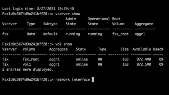 Abbildung 6: Die Verwaltung ist auch über das ONTAP CLI möglich.
