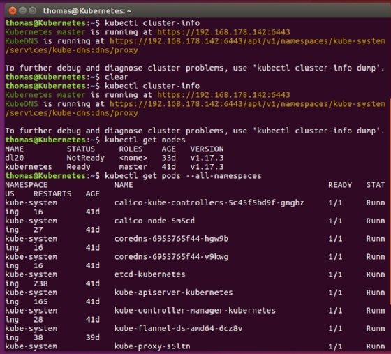 Abbildung 2: Ein funktionierendes Kubernetes-Cluster zeigt die vorhandenen Nodes und Pods an.