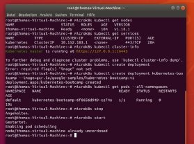 Abbildung 3: So sollte der lokale Betrieb eines Kubernetes-Clusters mit Microk8s aussehen.