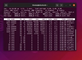 Abbildung 4: Hier sehen Sie Prozessinformationen im Terminal von Linux.