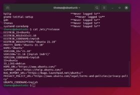 Abbildung 1: Das Terminal gibt die Linux-Distribution aus.