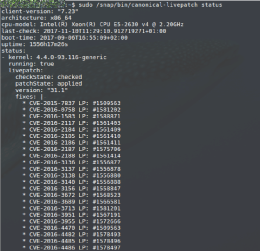 Canonical Livepatch Service ist auf einem Ubuntu Server 16.04 installiert und erledigt still seinen Job.
