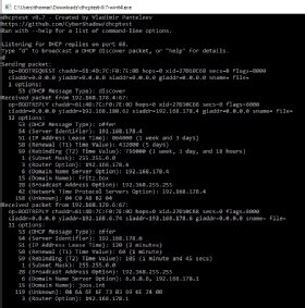 Abbildung 7: Testen von DHCP-Servern