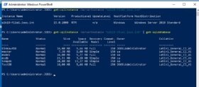 Abbildung 3: Anzeigen der Instanzen und Datenbanken eines Servers im Netzwerk.