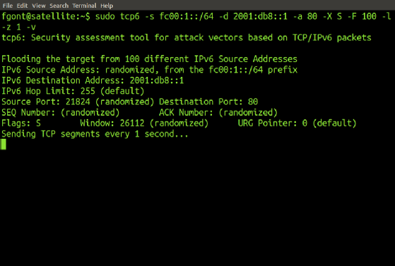 Das Tool tcp6 kann helfen, die Widerstandsfähigkeit gegen TCP-basierte Angriffe zu testen.