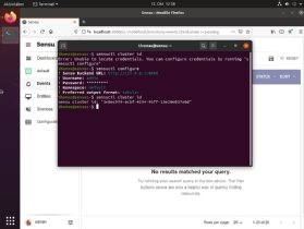 Abbildung 2: Sensu Go wird in der Weboberfläche gesteuert und im Terminal vorkonfiguriert.