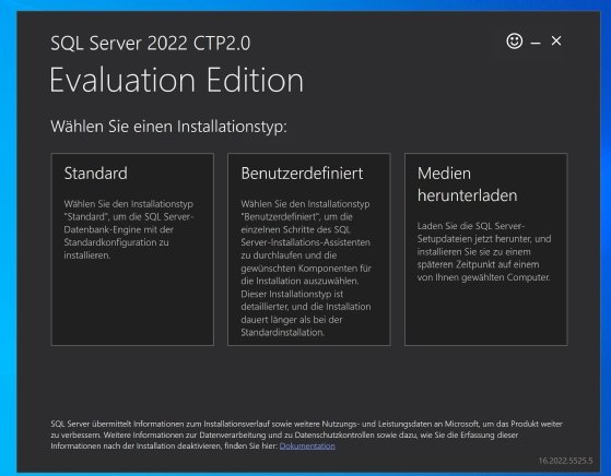 Auswählen der Testoptionen von SQL Server 2022 CTP2