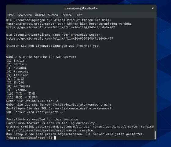 Abbildung 4: Auswählen der Sprache für SQL Server 2019 auf Linux.