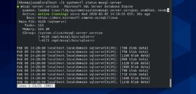 Abbildung 5: Überprüfen der SQL-Server-Installation auf Linux.