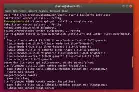 Abbildung 1: SQL Server 2019 unter Linux installieren.