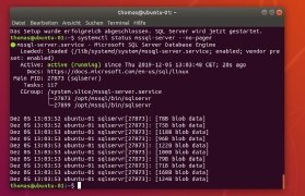 Abbildung 3: SQL Server 2019 in Linux betreiben.