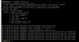 Abbildung 3: Der grün markierte Code zeigt, dass SSH funktioniert.