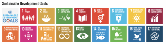 Die UN fasst ihre weltweiten Ziele in Sustainability Development Goals zusammen.