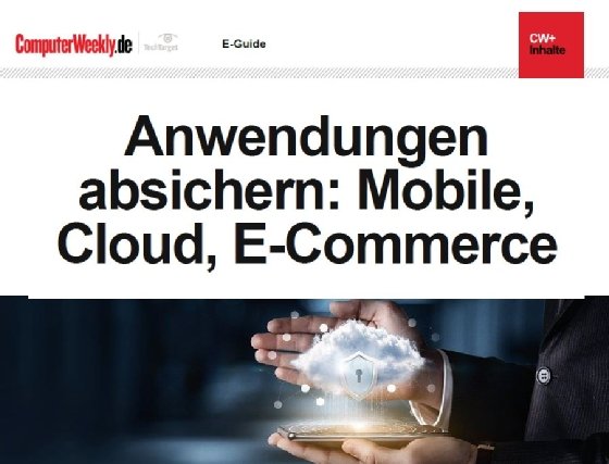 Kostenloser E-Guide: Anwendungen richtig absichern