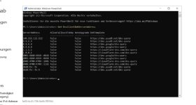 Abbildung 2: Man kann sich anzeigen lassen, welche DNS-Server DoH unterstützen.