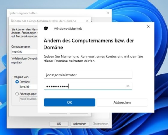 Abbildung 5: Sie können das Gerät auch an eine lokale Azure Active Directory anbinden.