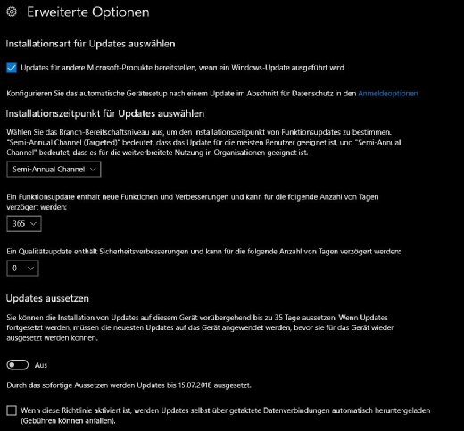Die Installation eines Funktionsupdates kann an dieser Stelle verzögert werden. Semi-Annual Channel stellt Funktionsupdates dann zur Verfügung, wenn diese für Unternehmen geeignet sein sollten.