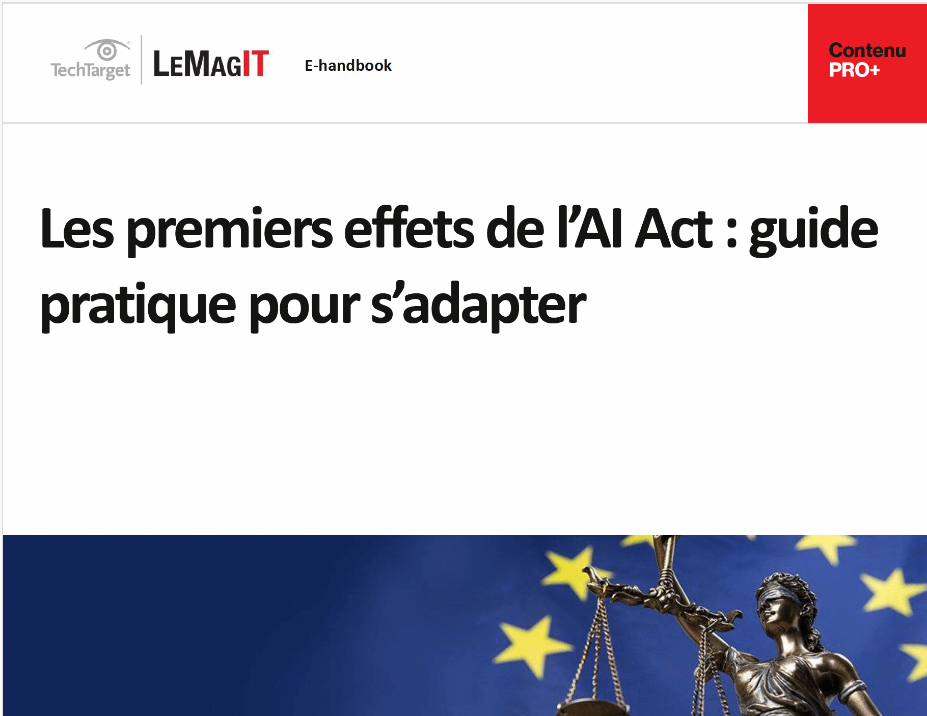 Les premiers effets de l’AI Act : guide pratique pour s’adapter