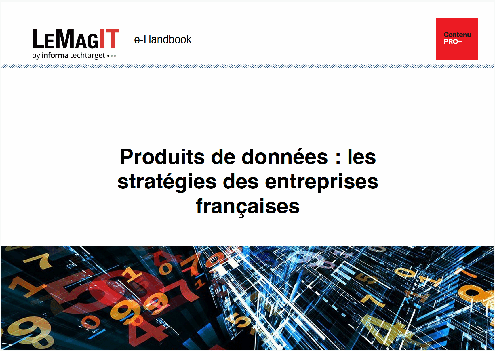Produits de données : les stratégies des entreprises françaises