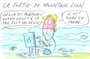 Dessin: Le dessin de François Cointe - Mountain Lion