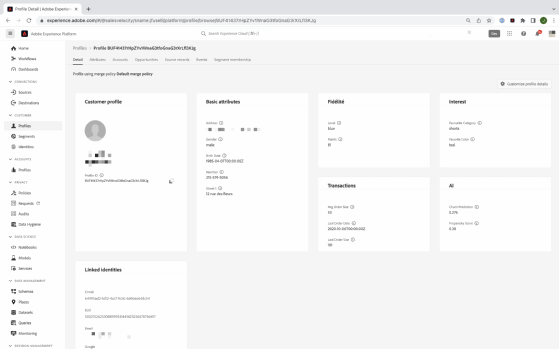 L'interface de la CDP d'Adobe