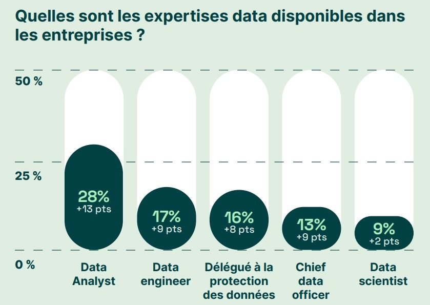 Infographie sur les compétences data que possèdent les ETI françaises