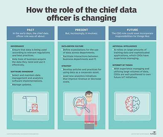 Chief Technology Officer Roles And Responsibilities