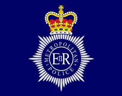 police met logo metropolitan command london control system strategy technology under cut jobs plan invites tenders upgrade review outsourcing protection