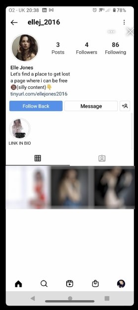 Elle Jones Instagram cloned profile