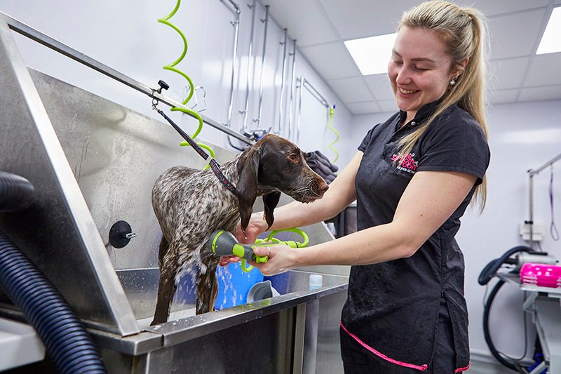 CDO interview Pets at Home uses data analytics to further petcare