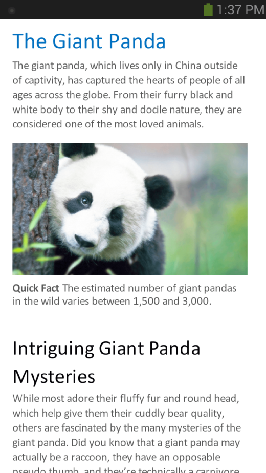 Panda Bears - Microsoft Apps