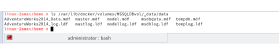 SQL Server database files stored in a Docker volume